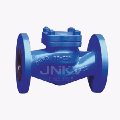 German Standard Lift Check Valve