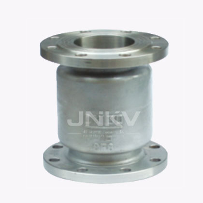 Stainless Steel Vertical Check Valve