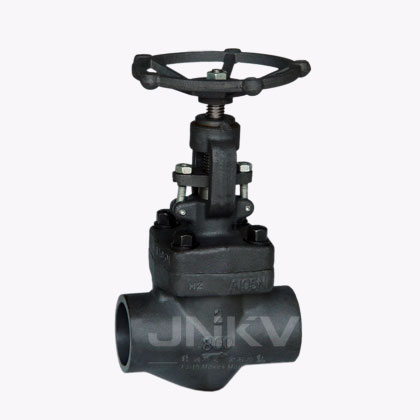 Forged Steel Globe Valve