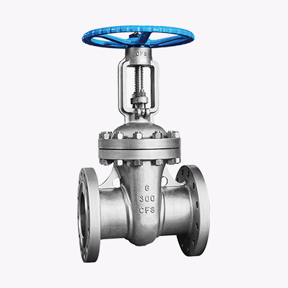 ANSI Low-temperature Check Valve