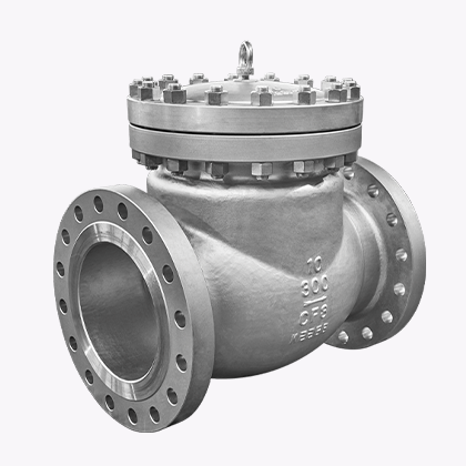 Y Strainer