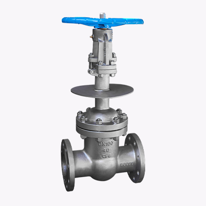 Swing Check Valve